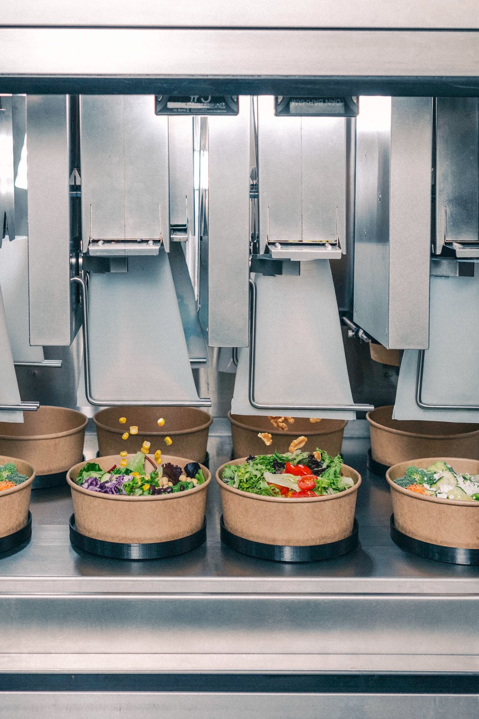 Image Courtesy: Public Domain