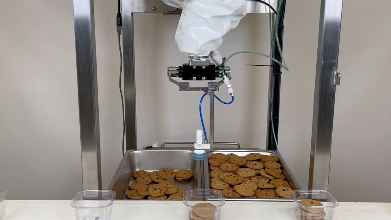 Image Courtesy: Public Domain