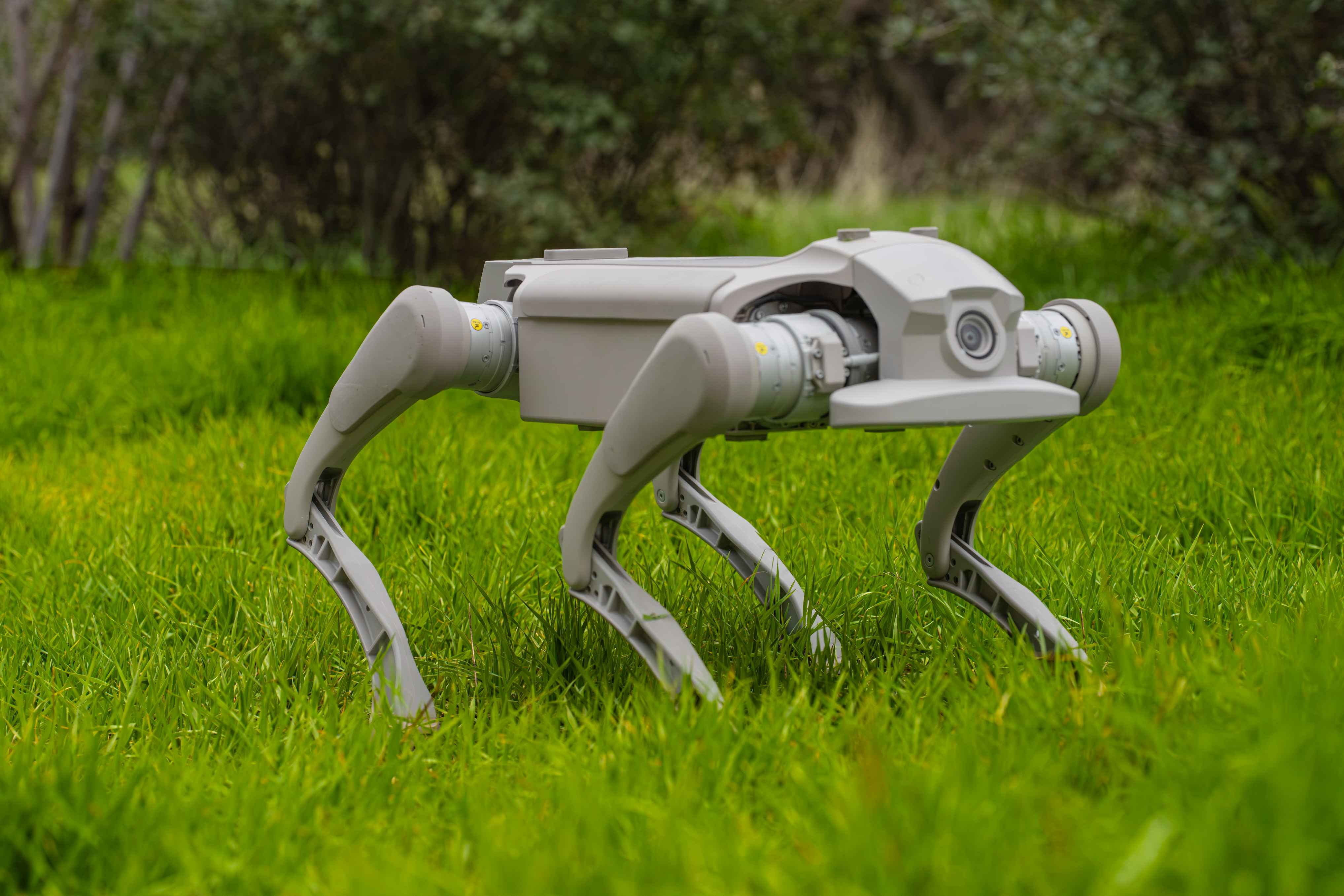 Image Courtesy: Public Domain