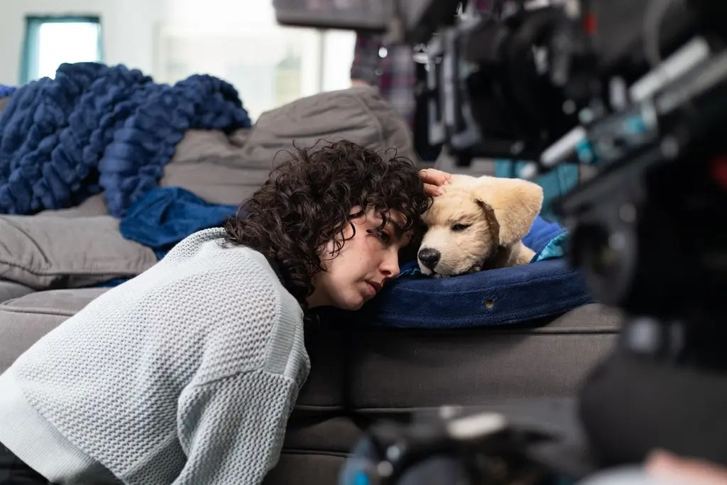 Image Courtesy: Public Domain